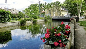 La Petite Venise - Goudargues La Petite Venise - Goudargues